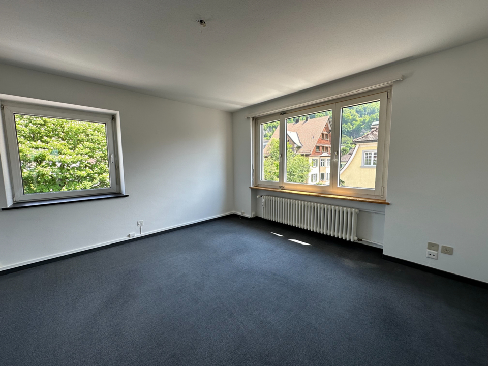 3.5 Zimmer-Altbauwohnung (Süd), 9490 Vaduz