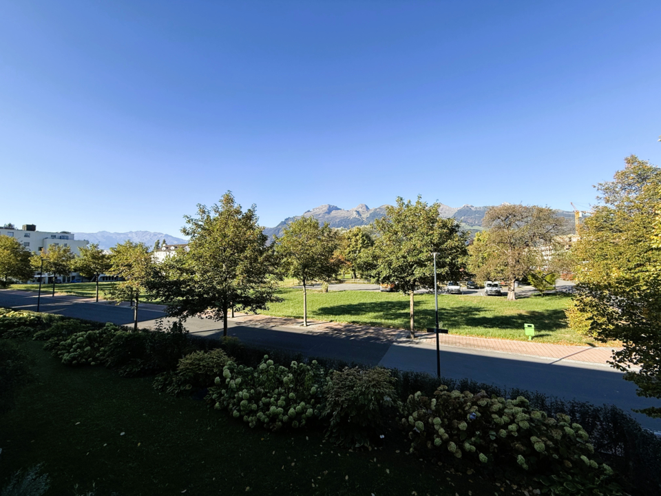 5.5 Zimmer-Wohnung, 9490 Vaduz